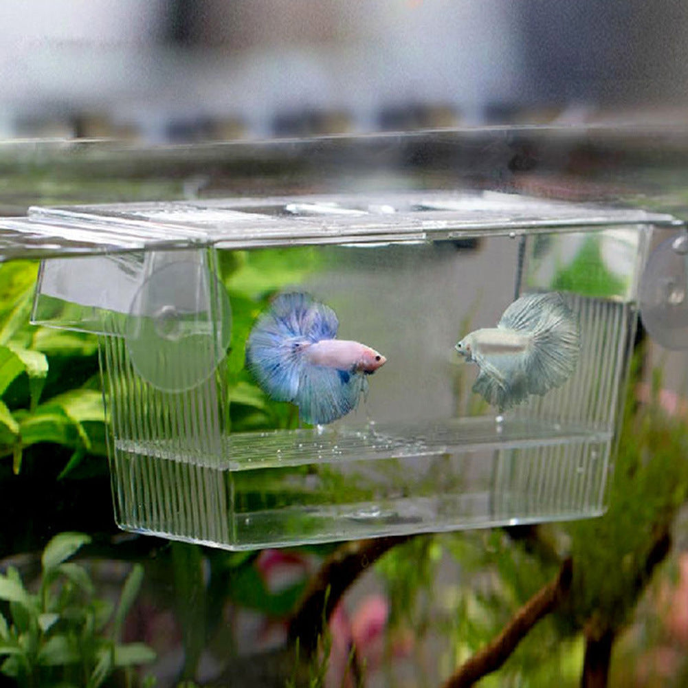 Acrylic Aquarium Fish Tank Incubation Box Forease