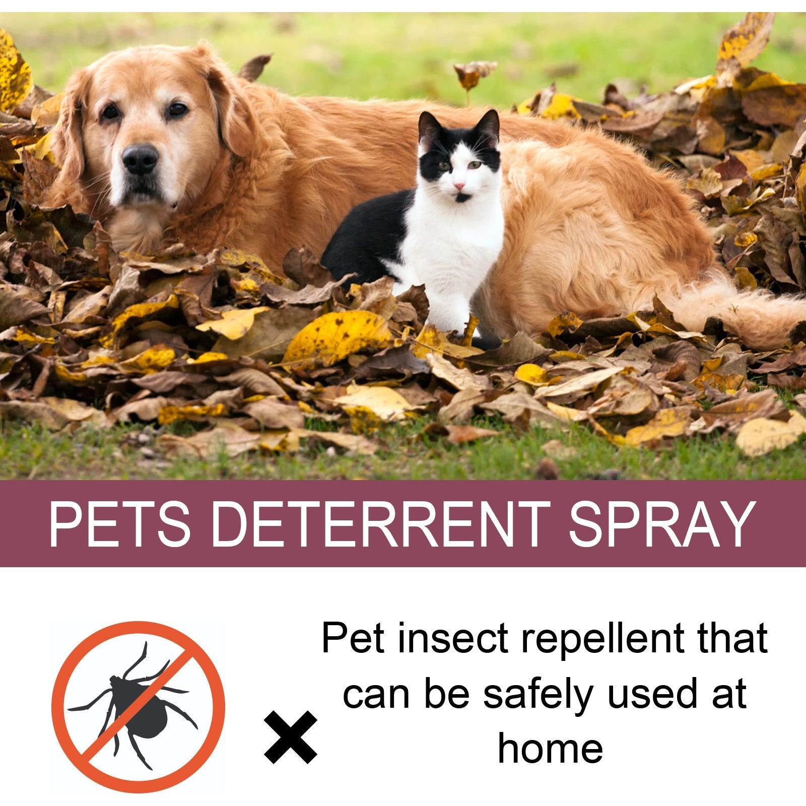 Pet Insect Repellent And Antiitching Spray Forease