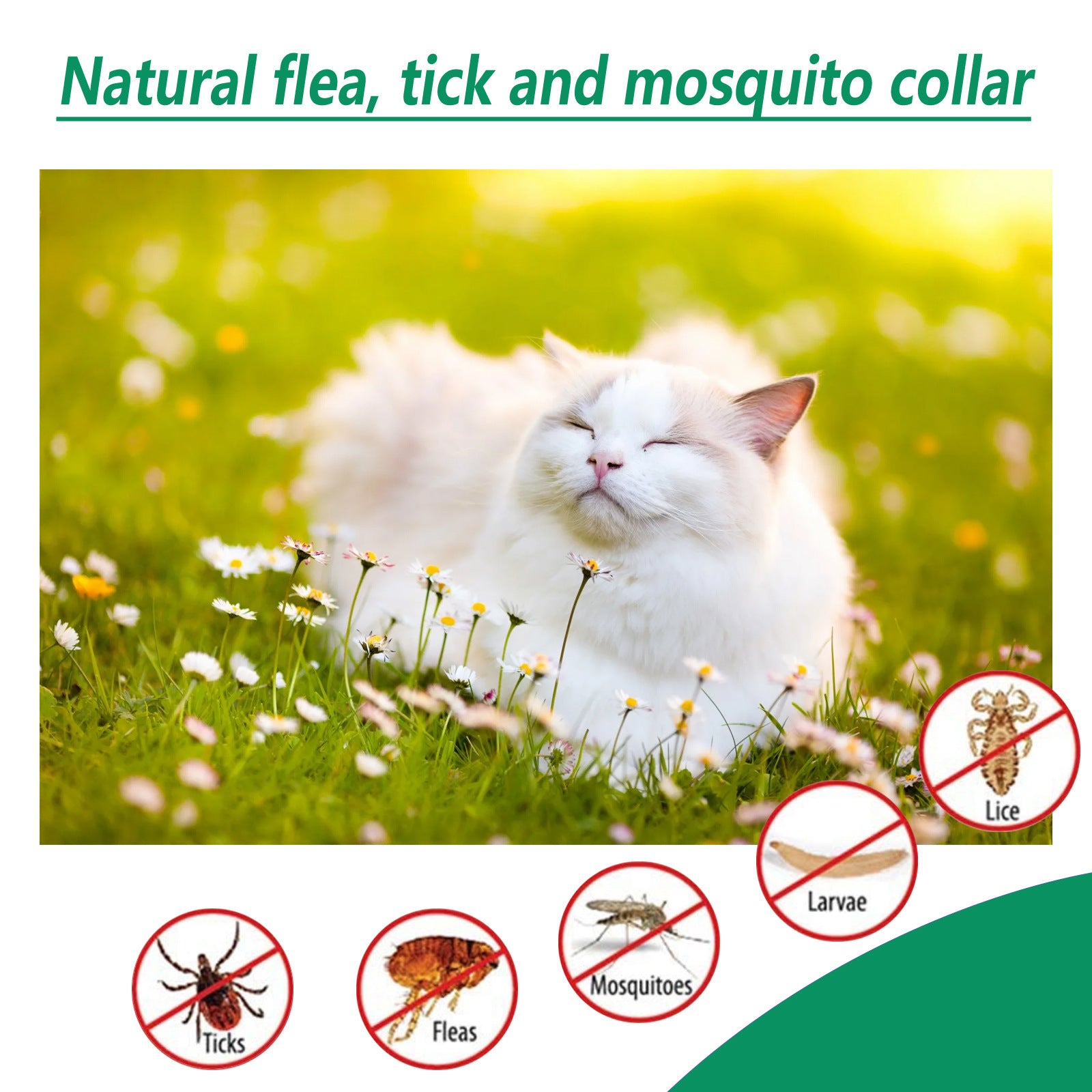 Pet Insect-proof Collar Adjustable Insect Repellent Forease