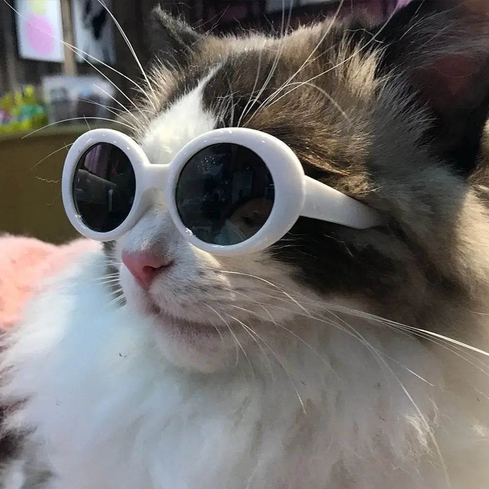 Cat Glasses Cool Pet Small Dog Fashion Round Glasses Pet Product For Little Dog Cat Sunglasses For Photography Pet Accessories Forease