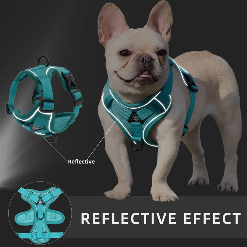 Reflective Pet Dog Harness and Leash Set for Small Dogs Chihuahua Yorkshire Fashion Breathable French Bulldog Puppy Harnesses Forease