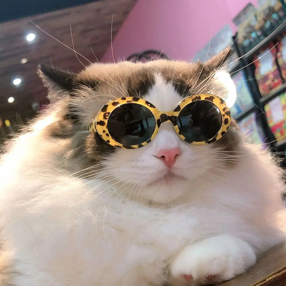 Cat Glasses Cool Pet Small Dog Fashion Round Glasses Pet Product For Little Dog Cat Sunglasses For Photography Pet Accessories Forease