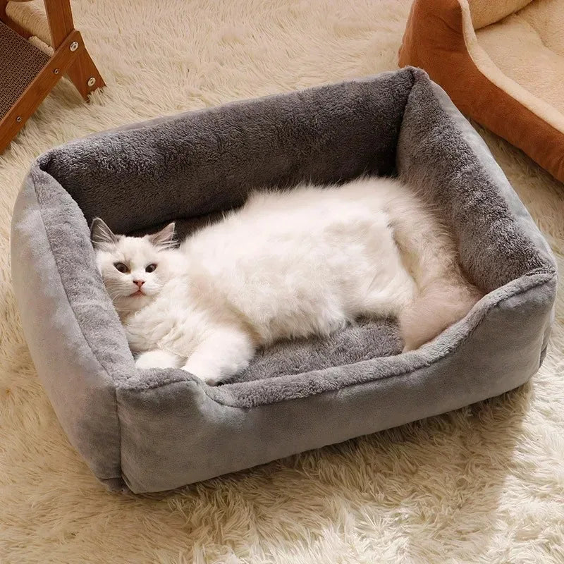 Bed for Cats Pet Products Goods Accessories Dog All Houses Supplies Cushions Kitten Things Accessory Habitats Basket House Beds Forease