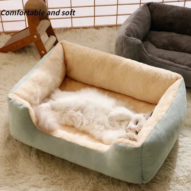 Bed for Cats Pet Products Goods Accessories Dog All Houses Supplies Cushions Kitten Things Accessory Habitats Basket House Beds Forease