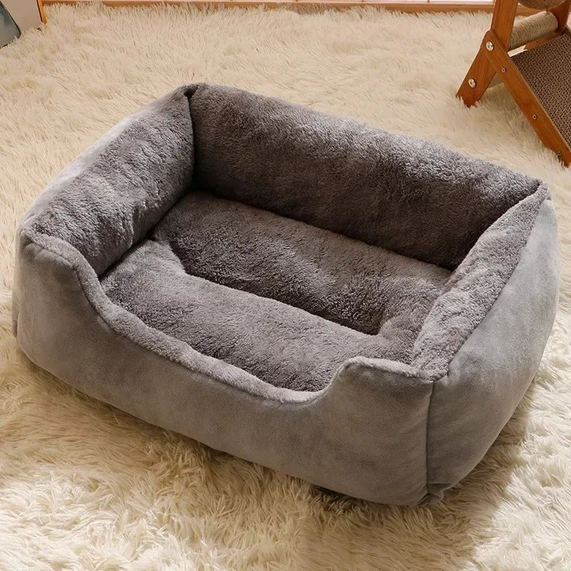 Bed for Cats Pet Products Goods Accessories Dog All Houses Supplies Cushions Kitten Things Accessory Habitats Basket House Beds Forease