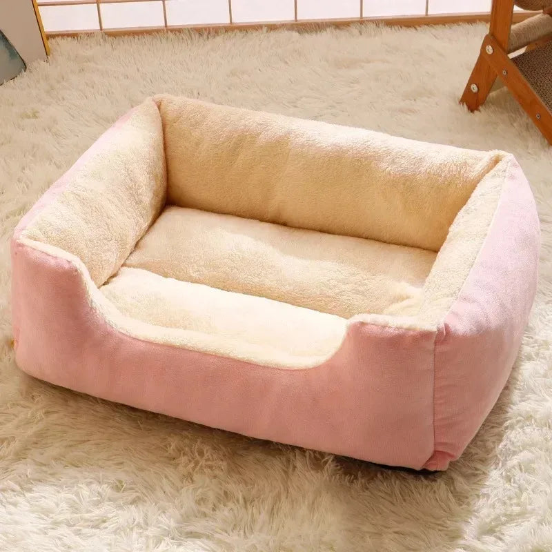 Bed for Cats Pet Products Goods Accessories Dog All Houses Supplies Cushions Kitten Things Accessory Habitats Basket House Beds Forease