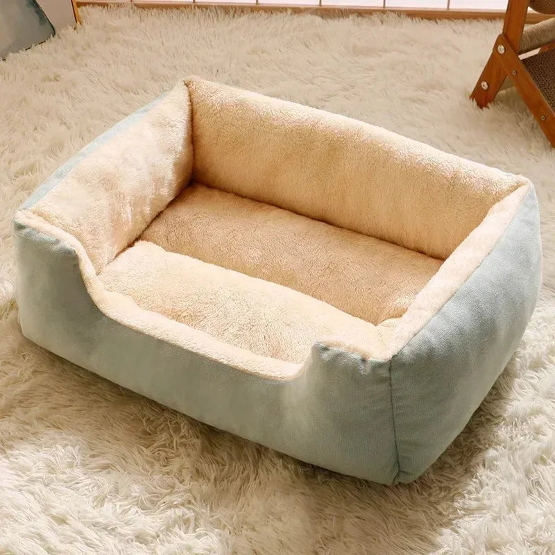 Bed for Cats Pet Products Goods Accessories Dog All Houses Supplies Cushions Kitten Things Accessory Habitats Basket House Beds Forease