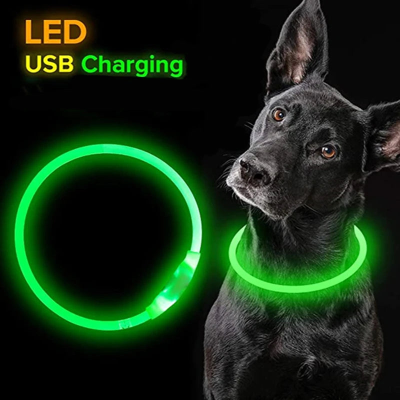 3 Modes Light Up Dog Collars Rechargeable LED Dog Collar for Small to Large Dogs Pet Collar Loss Prevention Dog Collar Forease