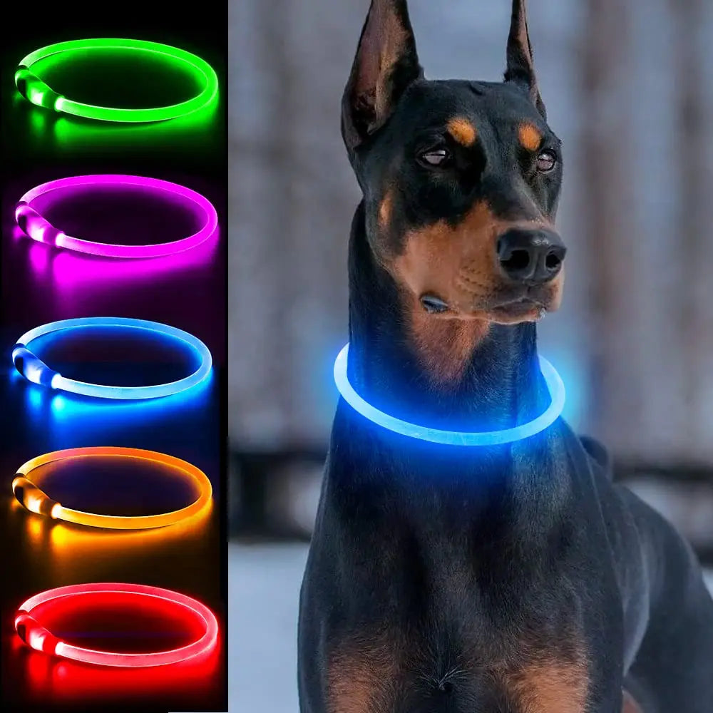 3 Modes Light Up Dog Collars Rechargeable LED Dog Collar for Small to Large Dogs Pet Collar Loss Prevention Dog Collar Forease