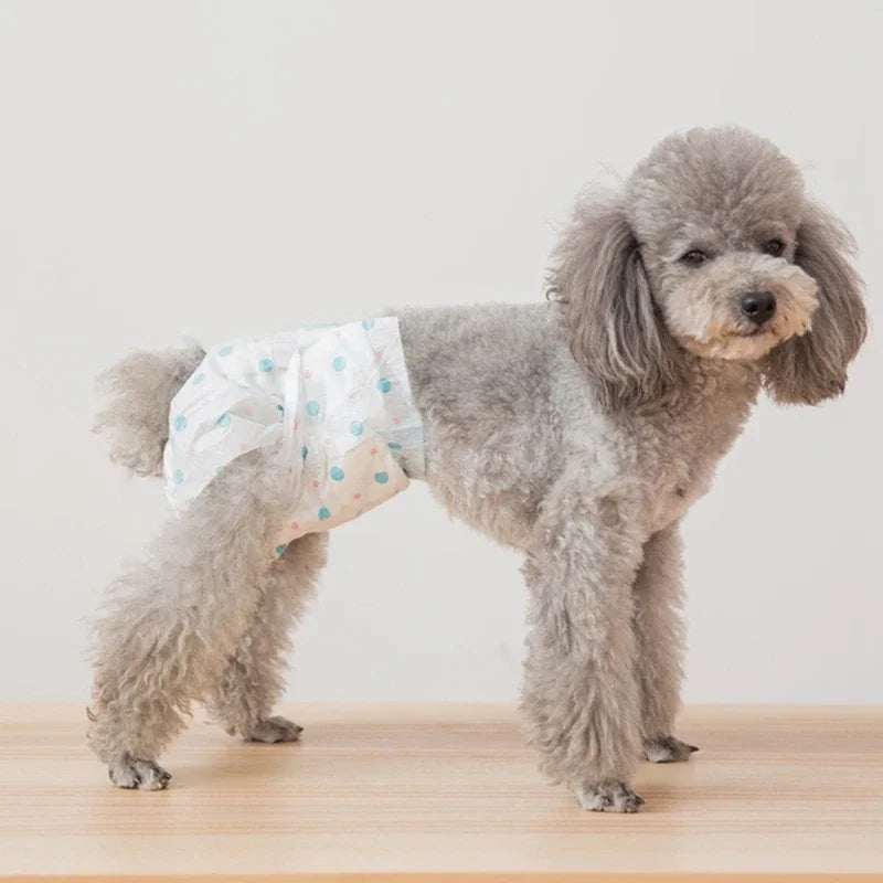 Female Dog Diaper for Teddy, Leakproof Nappies, Super Absorption, Sanitary Pants, Pet Menstrual, Physiological Pants, 10Pcs Forease